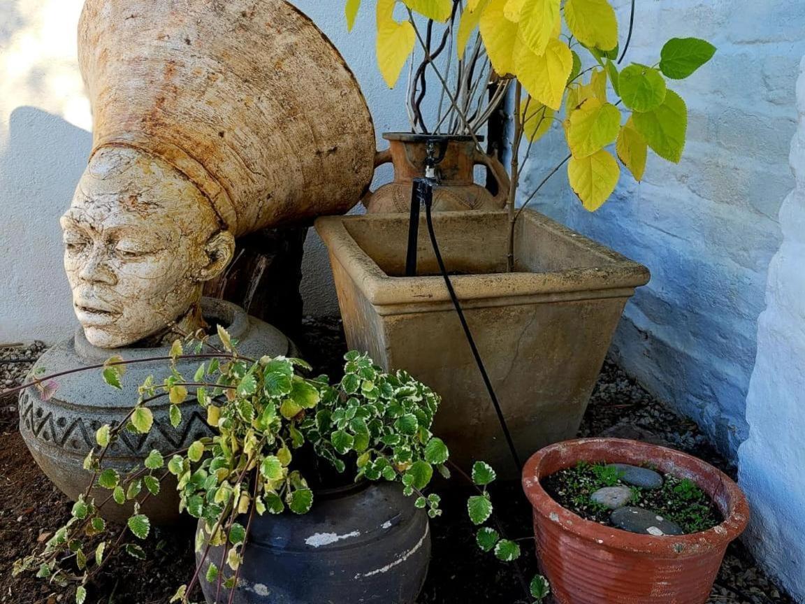 Acacia Home Graaff-Reinet Kültér fotó